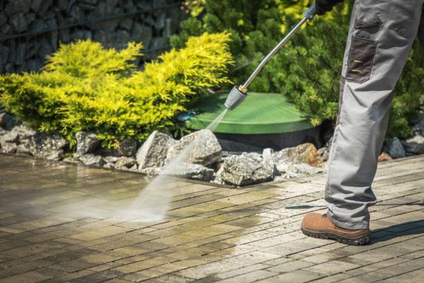 Best Boat and Dock Cleaning  in Samsula Spruce Creek, FL