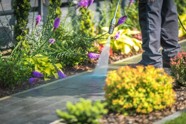 Best Factory Floor Cleaning  in Samsula Spruce Creek, FL