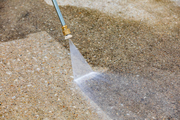 Best Dumpster Area Cleaning  in Samsula Spruce Creek, FL
